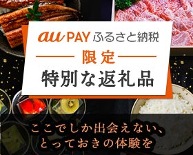 au PAY ふるさと納税