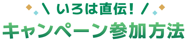 いろは直伝！キャンペーン参加方法